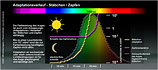 Adaptationsverlauf-10
