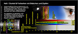 Adaptationsverlauf_Zapfen-Stbchen_2-10