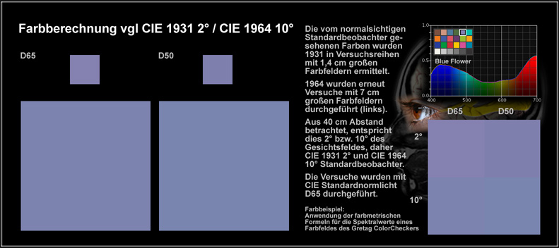 Beobachter_Blue_Flower_50
