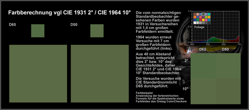 Beobachter_Foliage_50