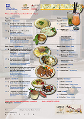 SC28_Plenary2008_Menu