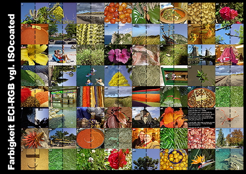 ECI_CMYK_vglges-103 ECI_CMYK_vglges-103